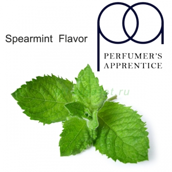 TPA Spearmint  Flavor ― Альтернативное курение